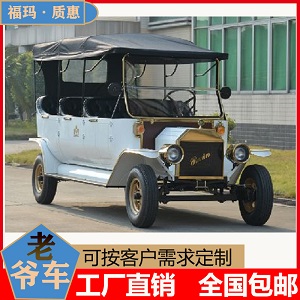 云南电动老爷车8座带门FM-GMDL81